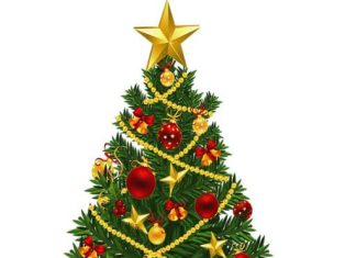 VŒUX DE NOËL ET DU NOUVEL AN – CNC/TSHOPO au Sénateur Pius MUABILU, Autorité Politique de Référence ( Monstre de l’Éternel )